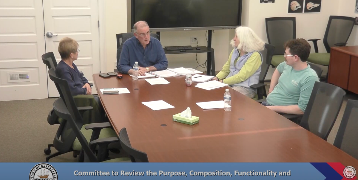 Ad Hoc Sub-Committee on Town Committees | March 12, 2025