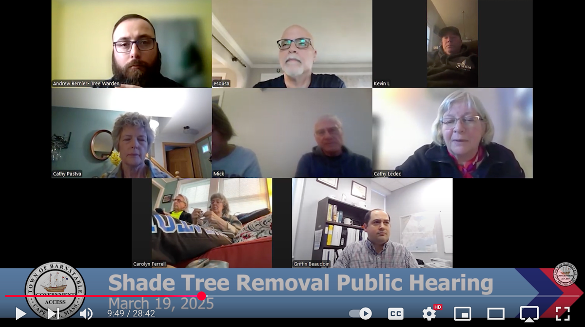 Shade Tree Removal Public Hearing | March 19, 2025