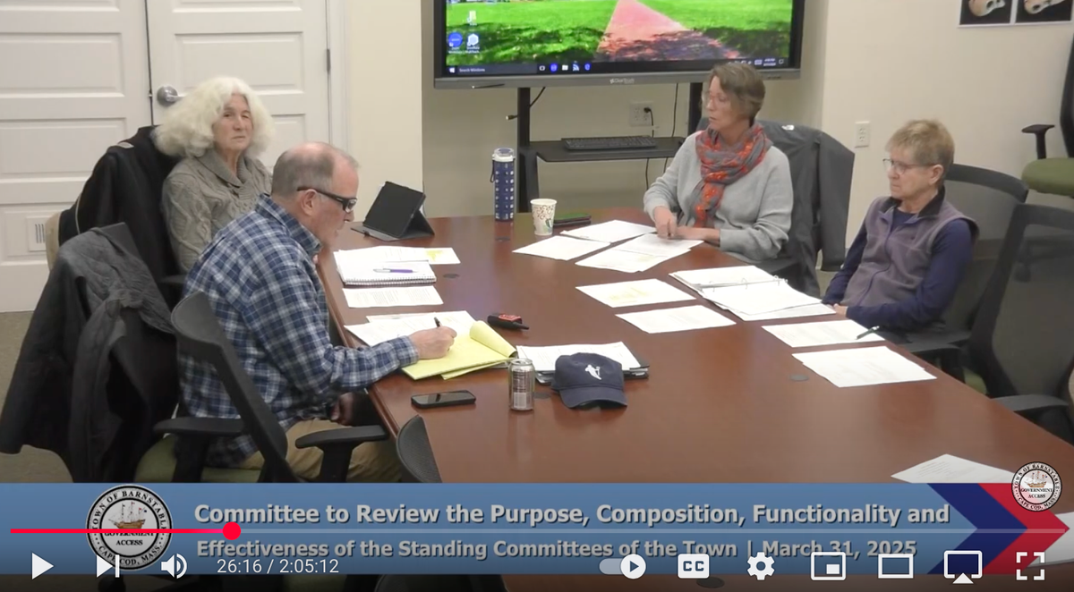Town Council Ad Hoc Sub-Committee: Review of Town Committees | March 31,2025